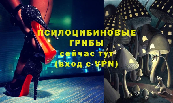 эйфоретик Липки