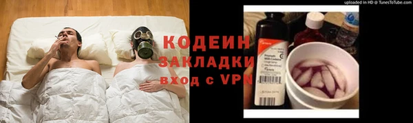 ГАЛЛЮЦИНОГЕННЫЕ ГРИБЫ Лихославль