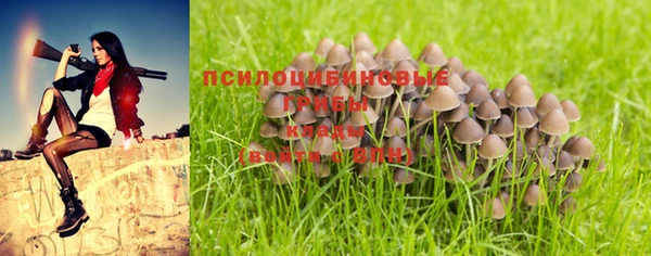 гидра Лиски
