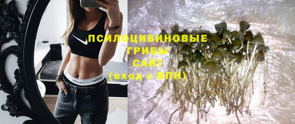 эйфоретик Липки