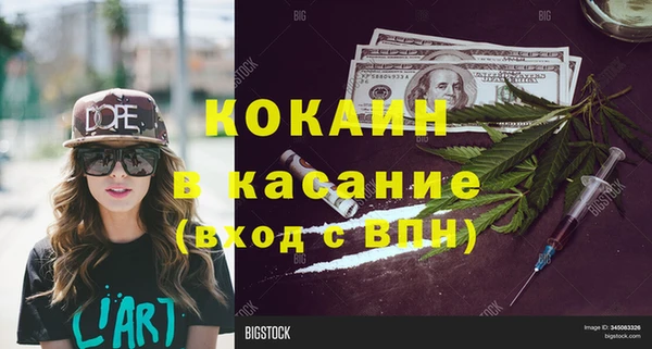 индика Долгопрудный