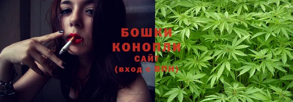 ГАЛЛЮЦИНОГЕННЫЕ ГРИБЫ Лихославль