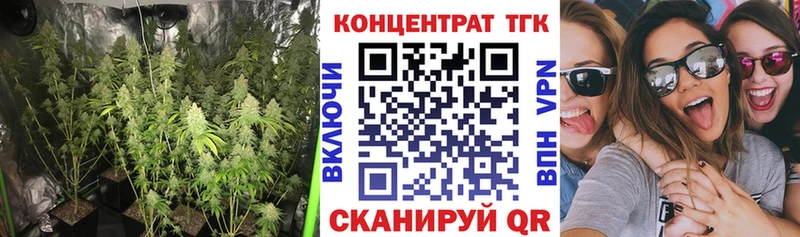 ТГК вейп с тгк  darknet как зайти  Тихвин 