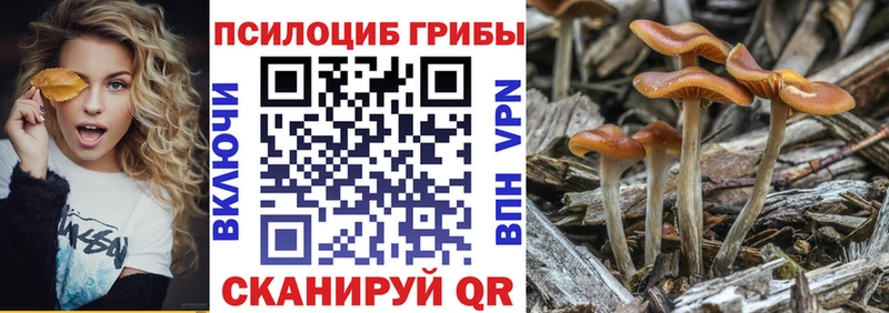 цены   Тихвин  мега как войти  нарко площадка как зайти  Псилоцибиновые грибы Magic Shrooms 